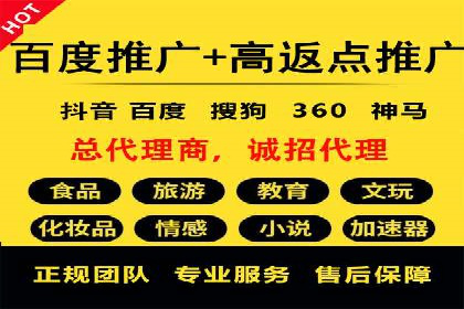 XX领域竞价广告的投放策略及效果展示